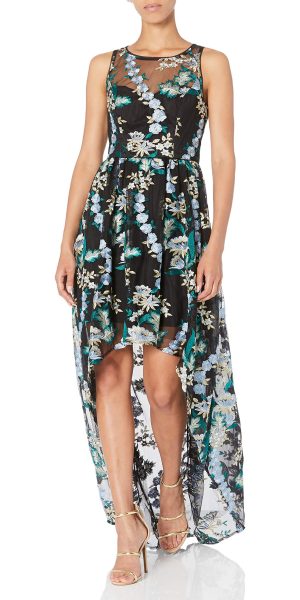 Women's Embroidered Tulle Long Dress
